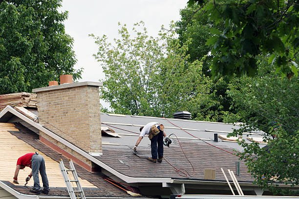 Roof Moss and Algae Removal in Netcong, NJ